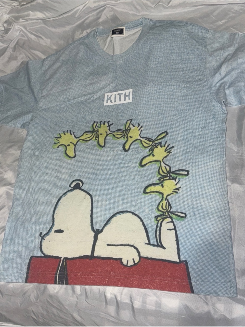 Kith Light Blue Snoopy & Woodstock Graphic Tee